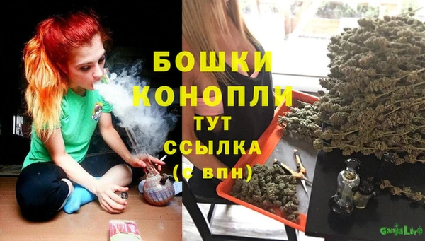первитин Козельск