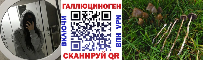 Псилоцибиновые грибы мицелий  KRAKEN ссылка  Слободской 